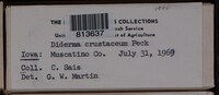 Image Associated With the Occurence
